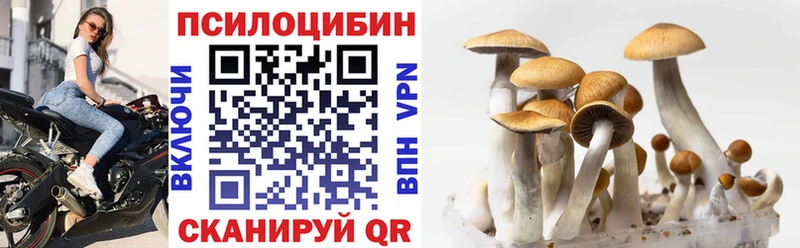 Галлюциногенные грибы GOLDEN TEACHER  купить закладку  дарк нет наркотические препараты  Шуя 