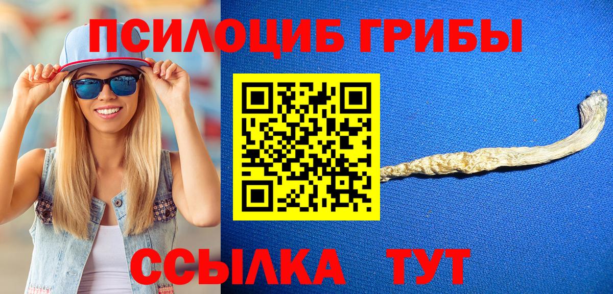 Псилоцибиновые грибы Cubensis  Псилоцибиновые грибы MAGIC MUSHROOMS  Вход с VPN  Шуя 